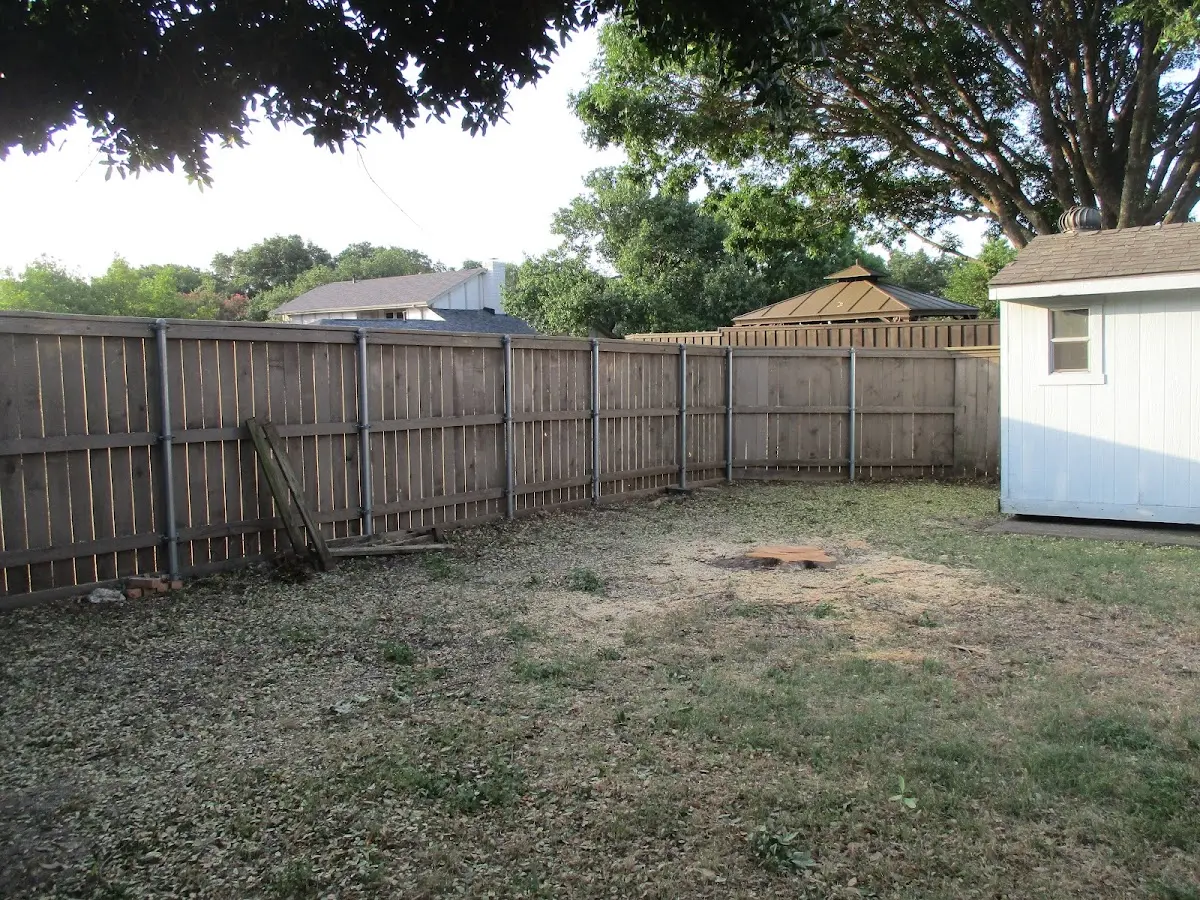 Cleared yard after professional tree removal in Norcatur
